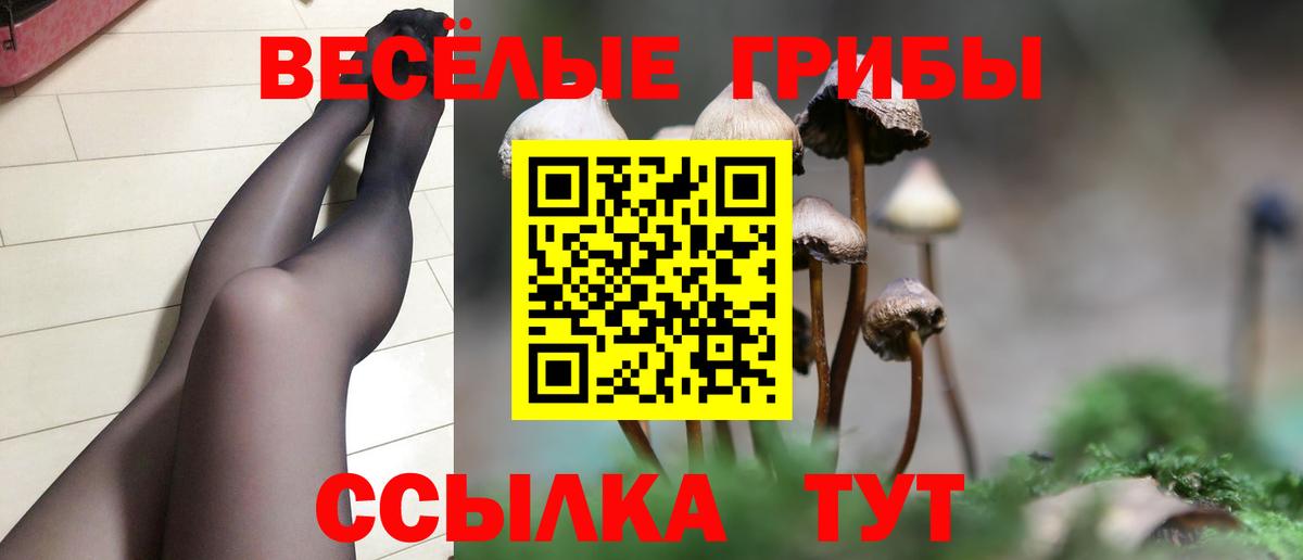 Псилоцибиновые грибы Magic Shrooms Фурманов